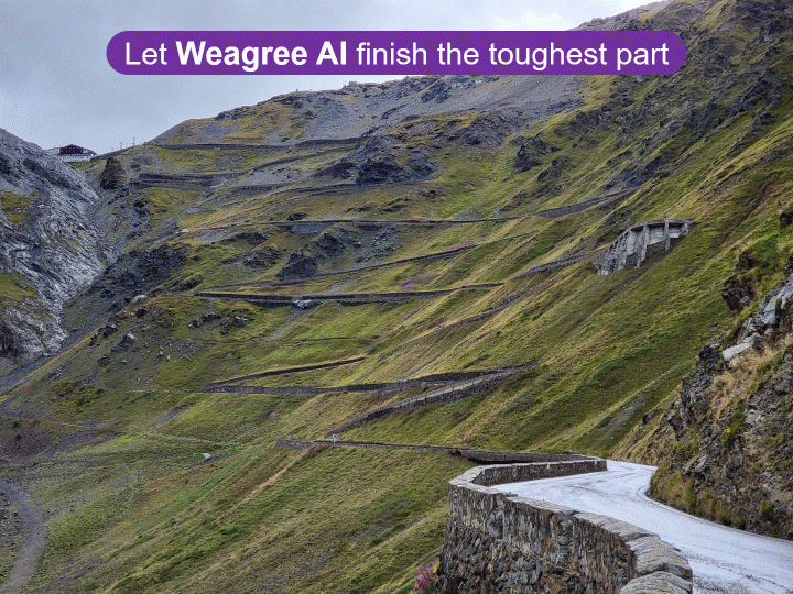 Weagree AI functionalities, overview